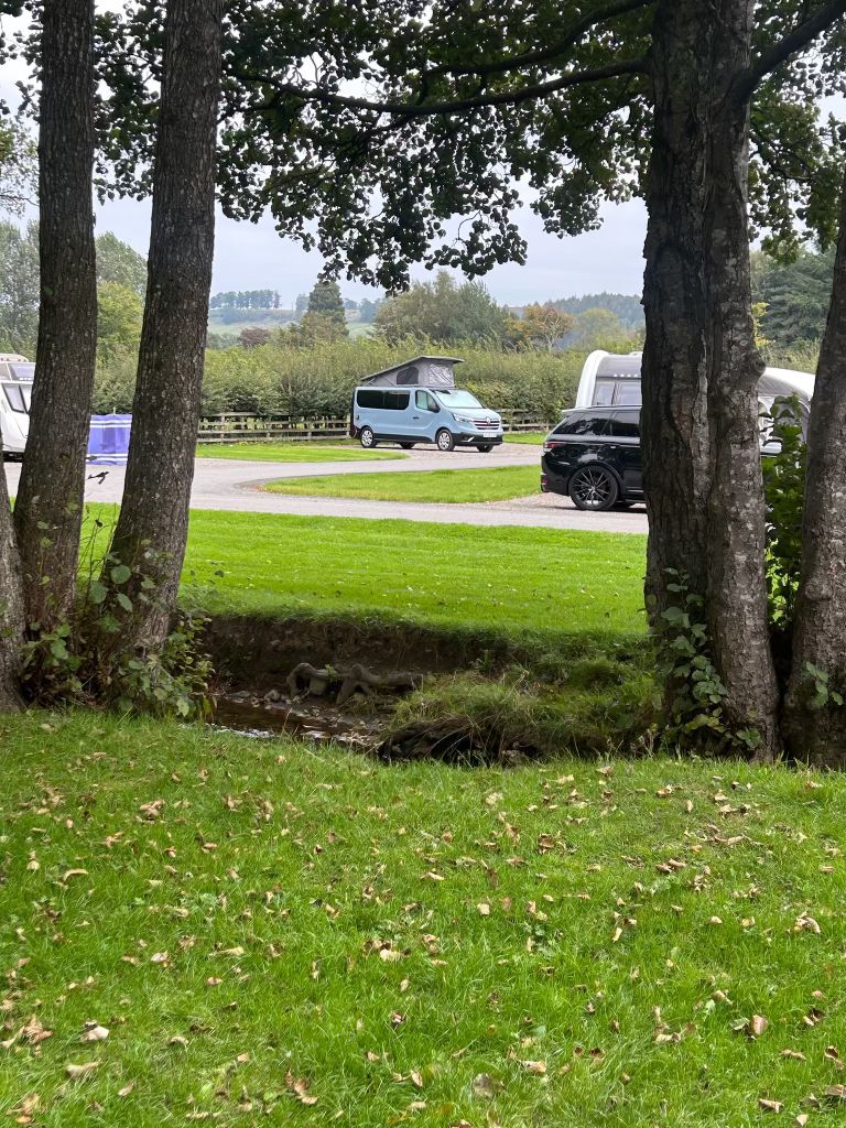 Maisie-Moo campervan glimpsed through trees on a campsite